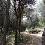 Casa Da Muralha Σπίτι διακοπών