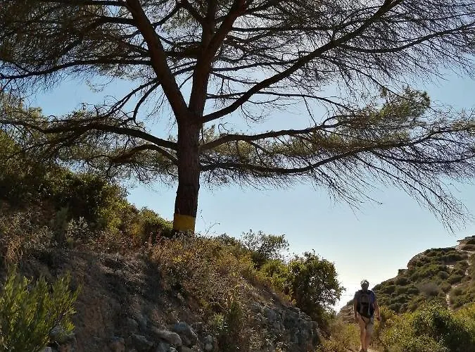 Casa Da Muralha Silves